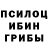 Псилоцибиновые грибы Magic Shrooms Pasha Nagiev