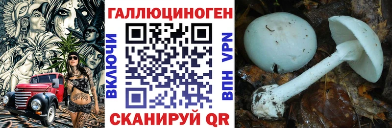 shop клад  Лысково  Псилоцибиновые грибы Psilocybe  как найти  